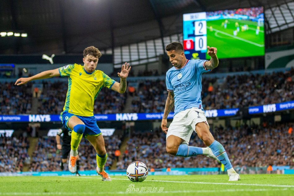 属感和生活 属感和生活